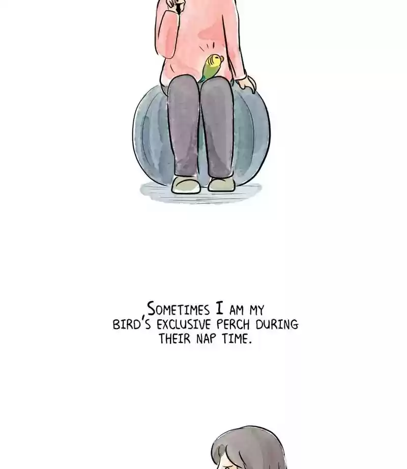 A Budgie's Life Chapter 170: Ep.169: