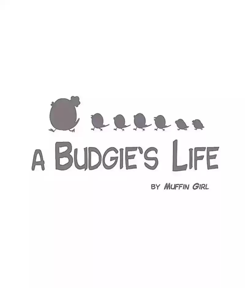 A Budgie's Life Chapter 171: Ep.170: