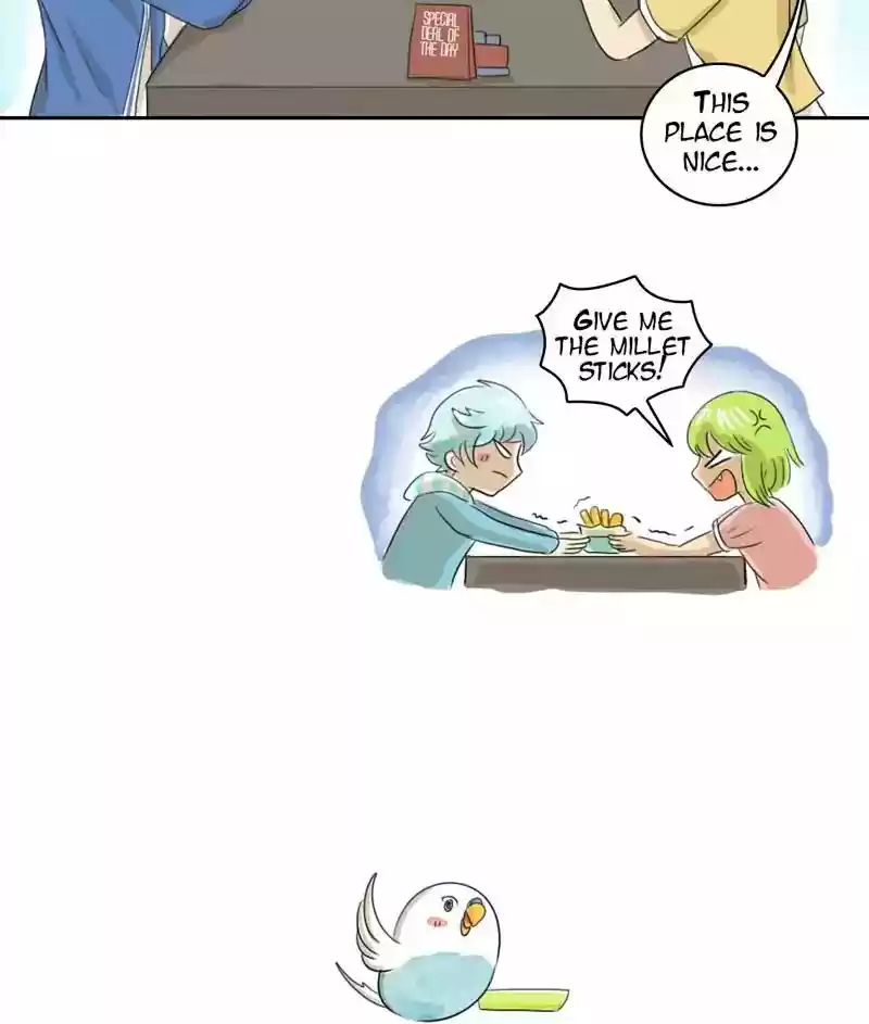 A Budgie's Life Chapter 171: Ep.170: