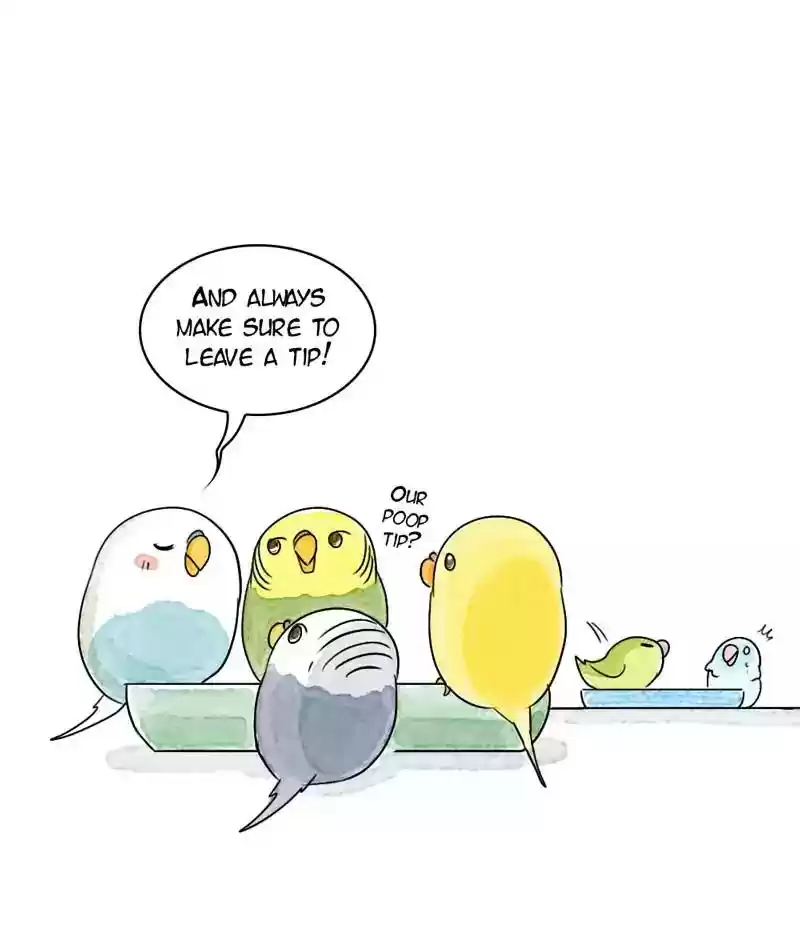 A Budgie's Life Chapter 171: Ep.170: