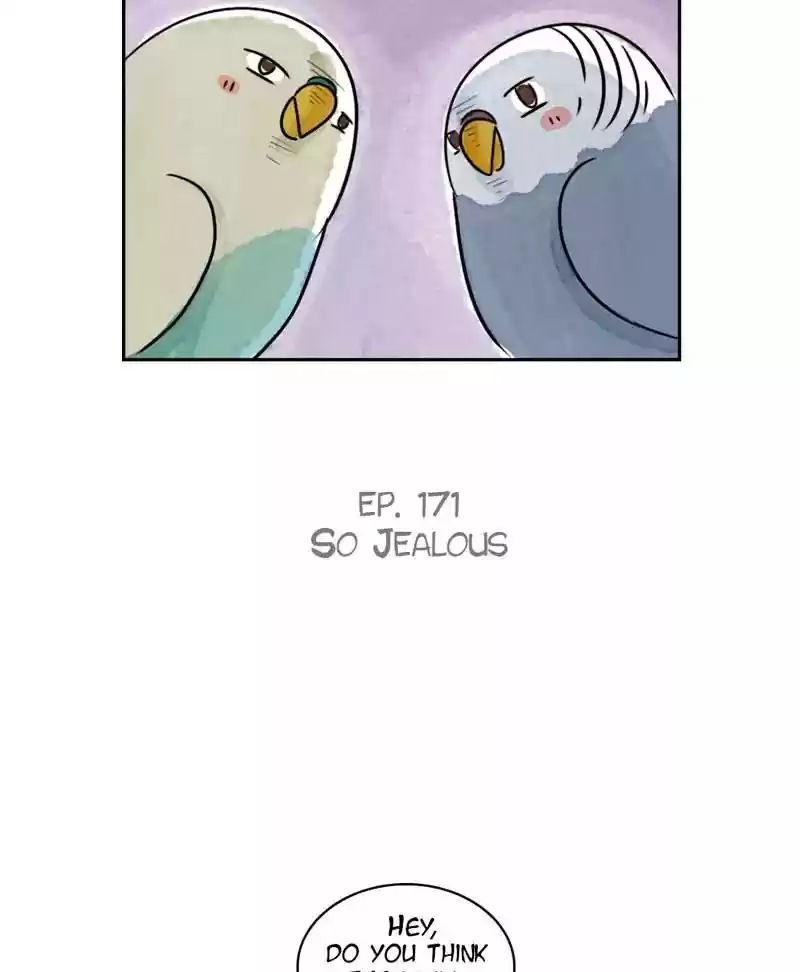 A Budgie's Life Chapter 172: Ep.171: