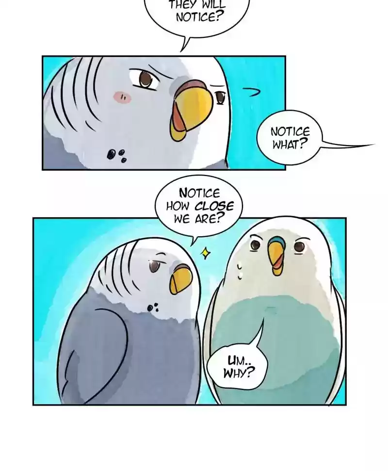 A Budgie's Life Chapter 172: Ep.171: