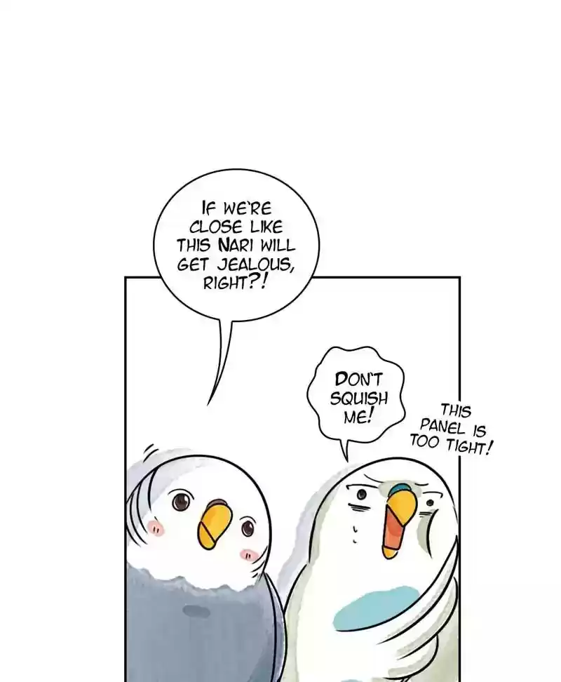 A Budgie's Life Chapter 172: Ep.171: