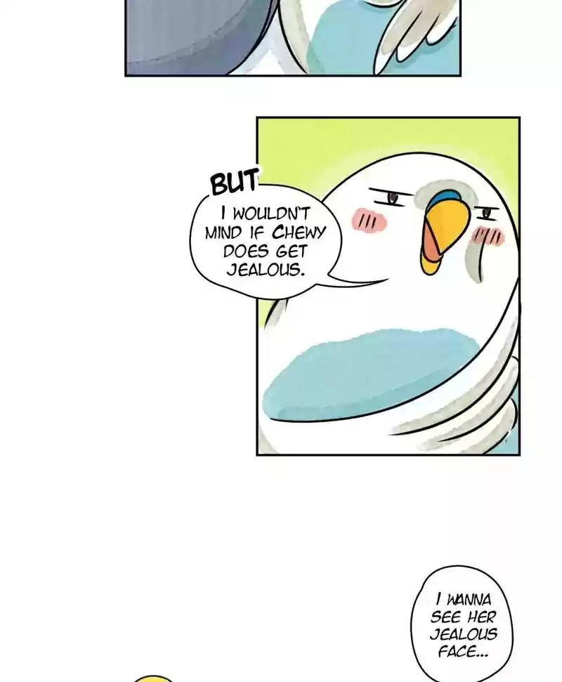 A Budgie's Life Chapter 172: Ep.171: