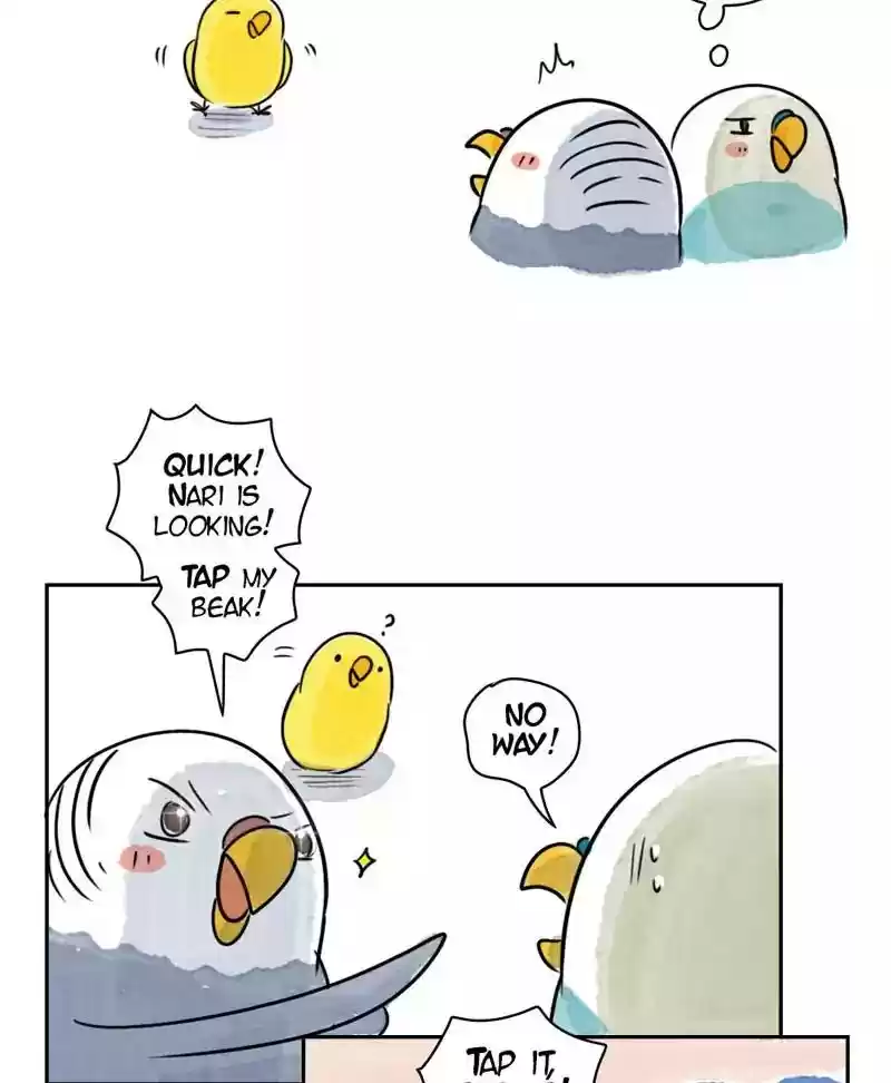 A Budgie's Life Chapter 172: Ep.171: