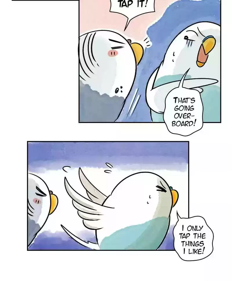 A Budgie's Life Chapter 172: Ep.171: