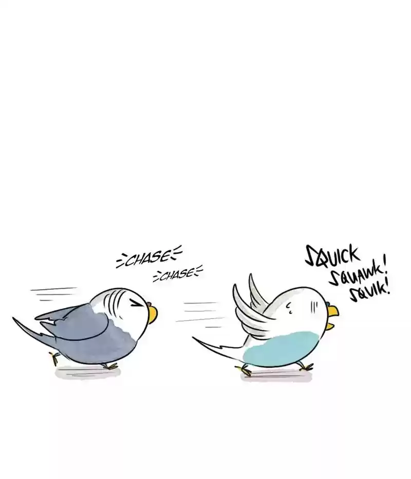 A Budgie's Life Chapter 172: Ep.171:
