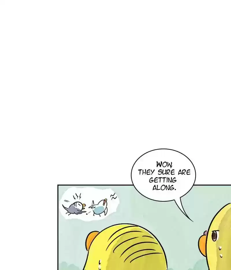 A Budgie's Life Chapter 172: Ep.171: