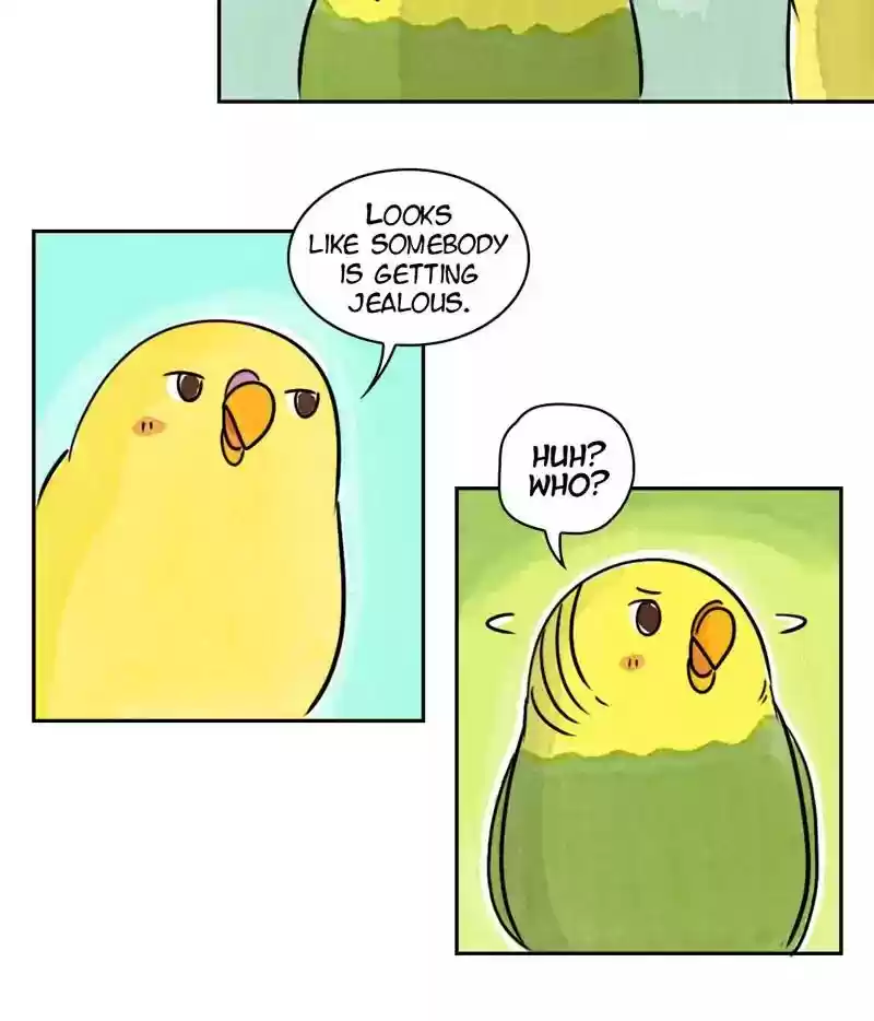A Budgie's Life Chapter 172: Ep.171: