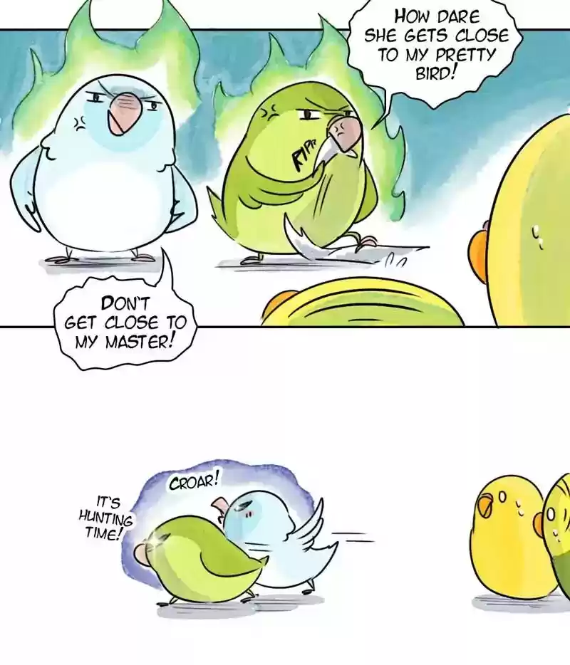 A Budgie's Life Chapter 172: Ep.171: