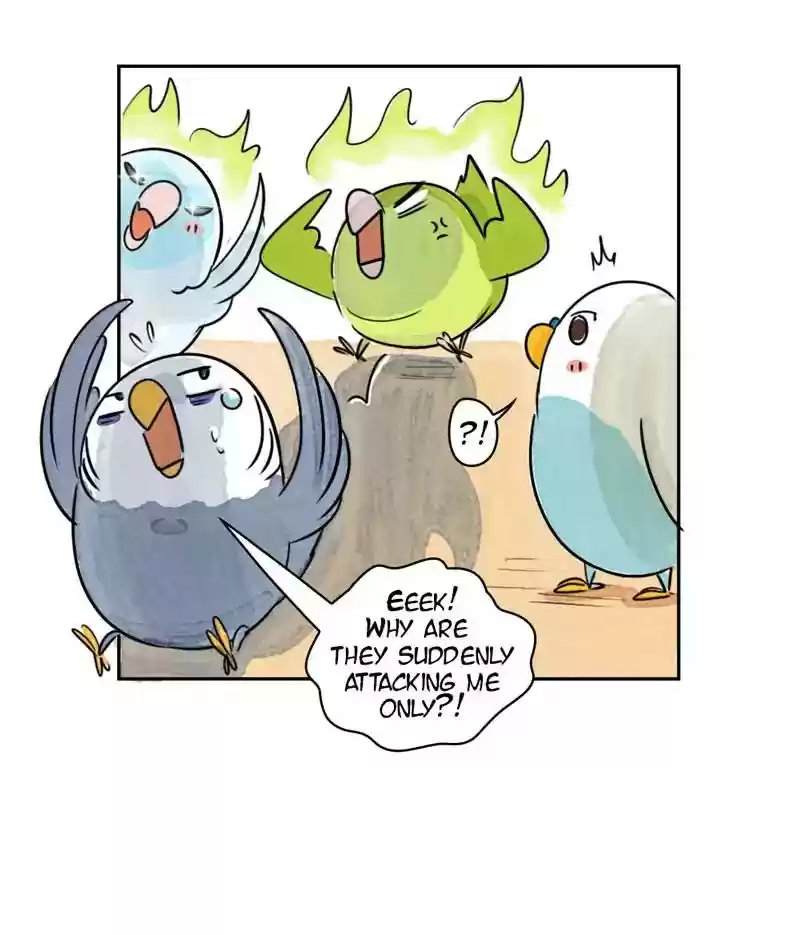 A Budgie's Life Chapter 172: Ep.171:
