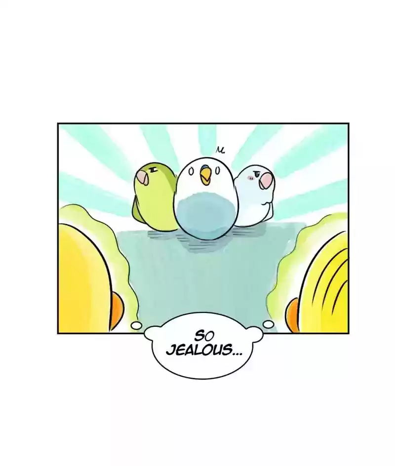 A Budgie's Life Chapter 172: Ep.171: