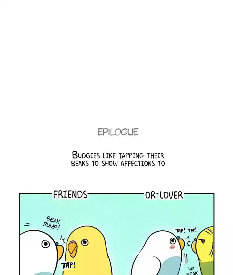 A Budgie's Life Chapter 172: Ep.171:
