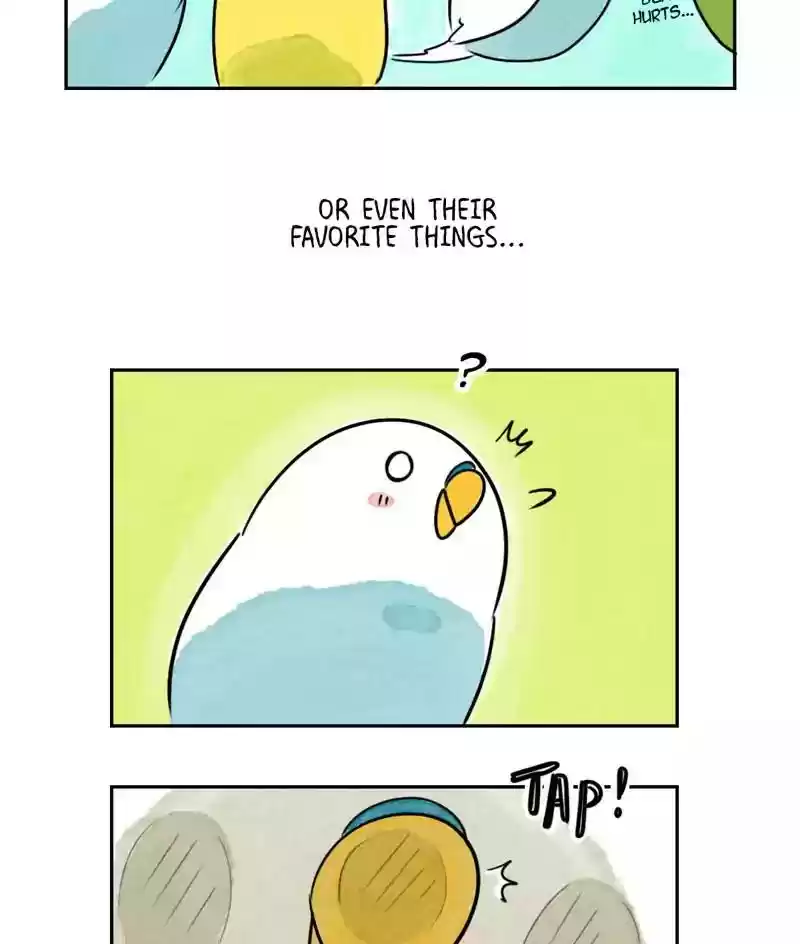 A Budgie's Life Chapter 172: Ep.171: