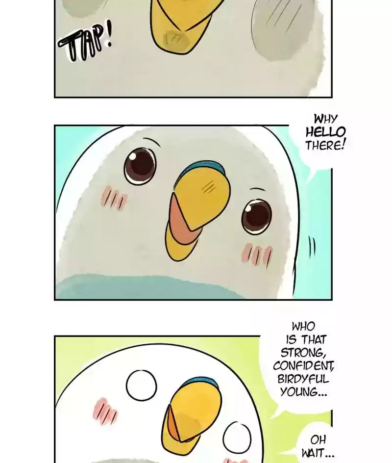 A Budgie's Life Chapter 172: Ep.171: