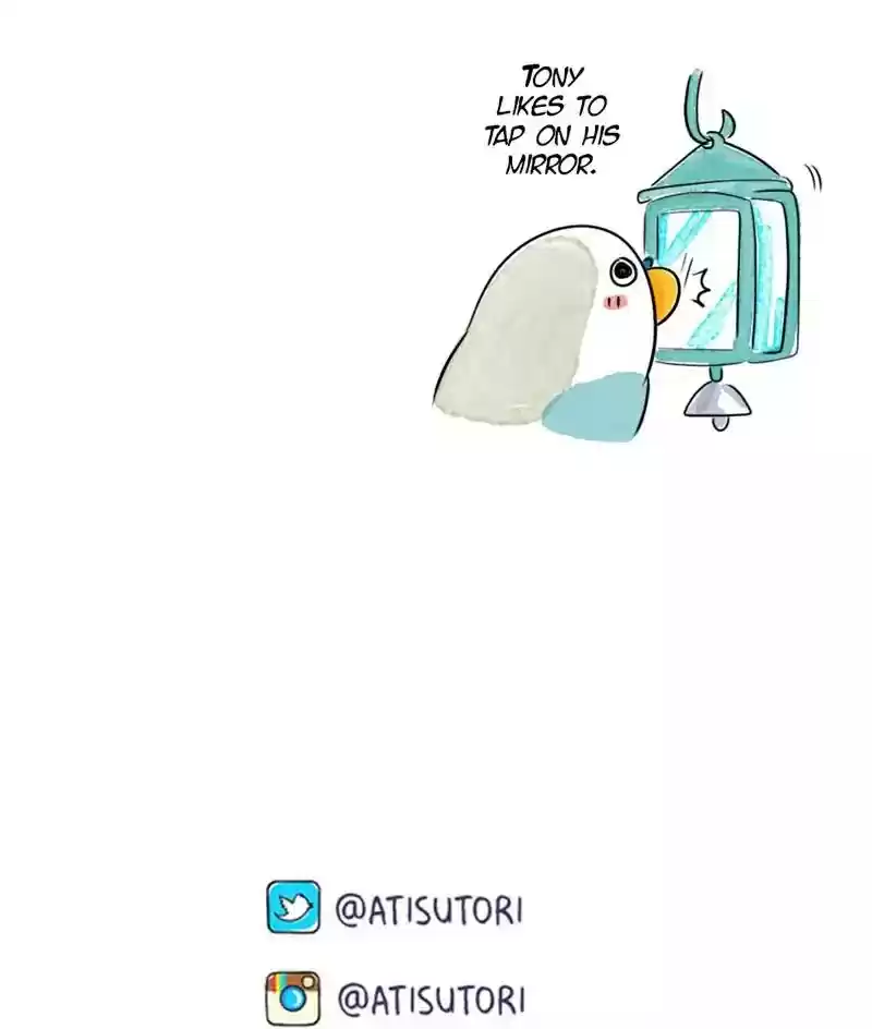 A Budgie's Life Chapter 172: Ep.171: