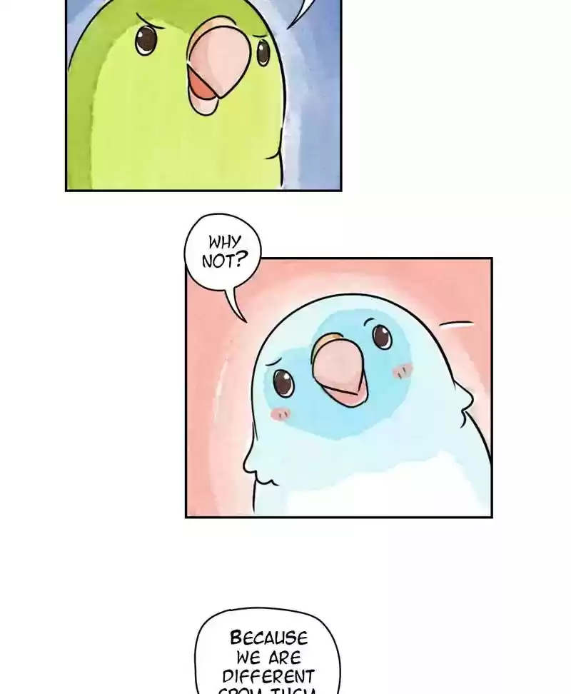 A Budgie's Life Chapter 173: Ep.172: