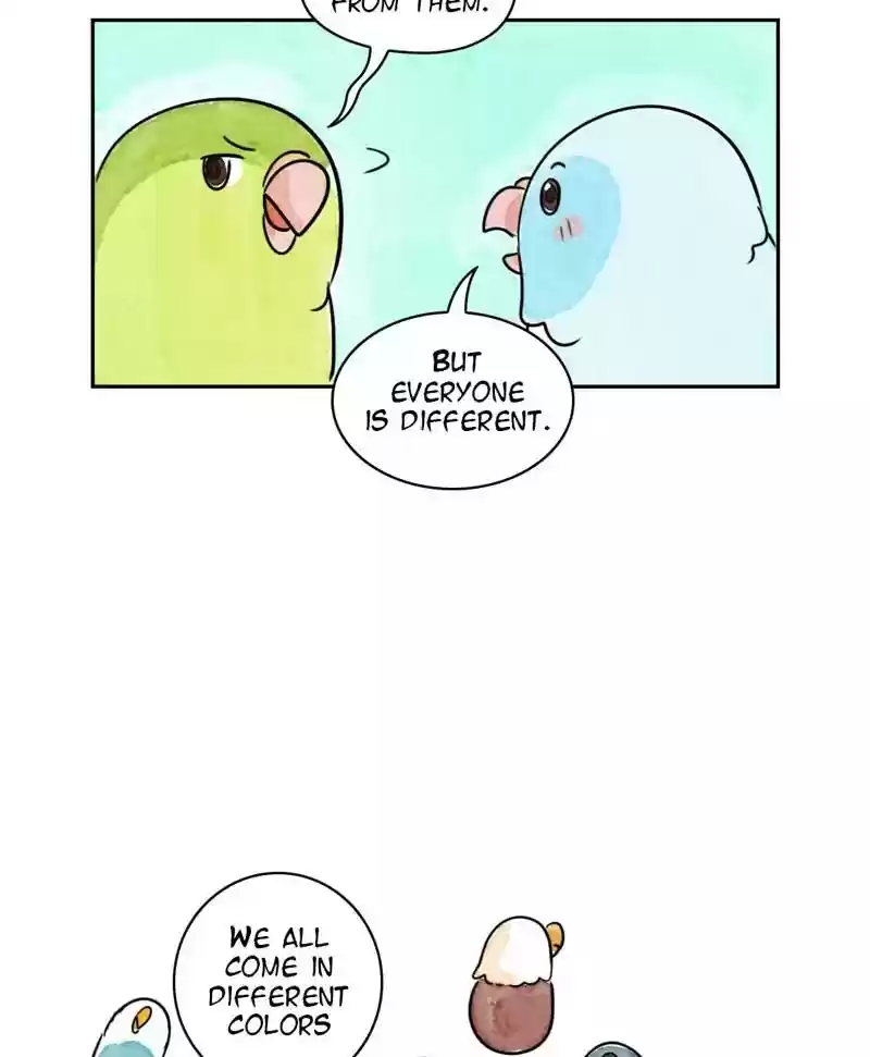 A Budgie's Life Chapter 173: Ep.172: