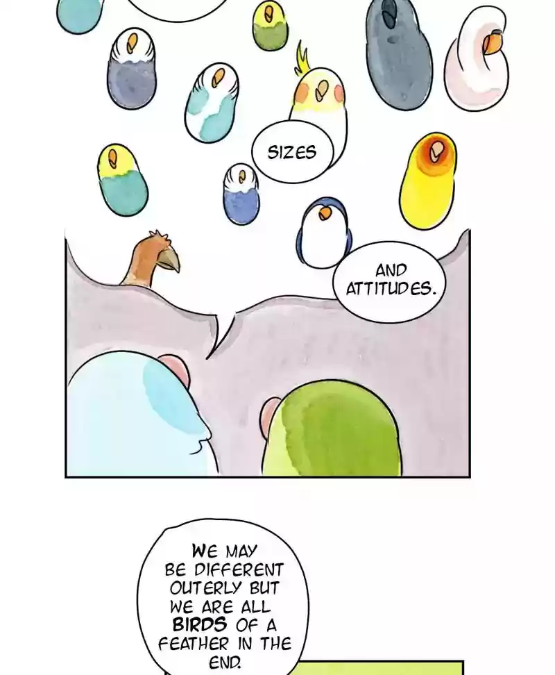 A Budgie's Life Chapter 173: Ep.172: