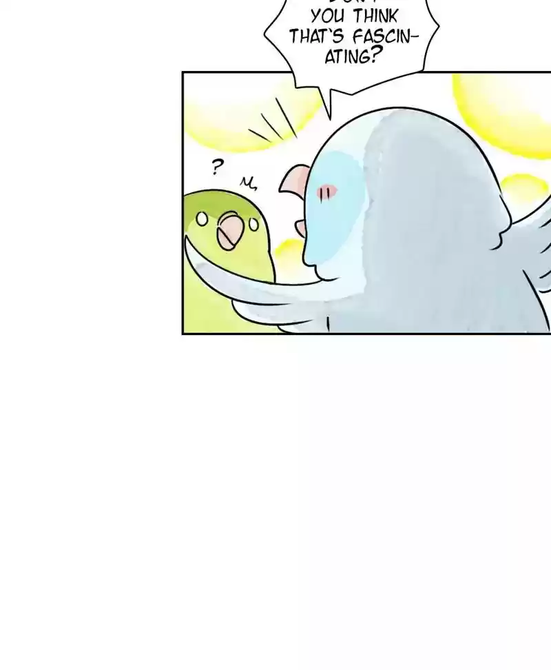 A Budgie's Life Chapter 173: Ep.172: