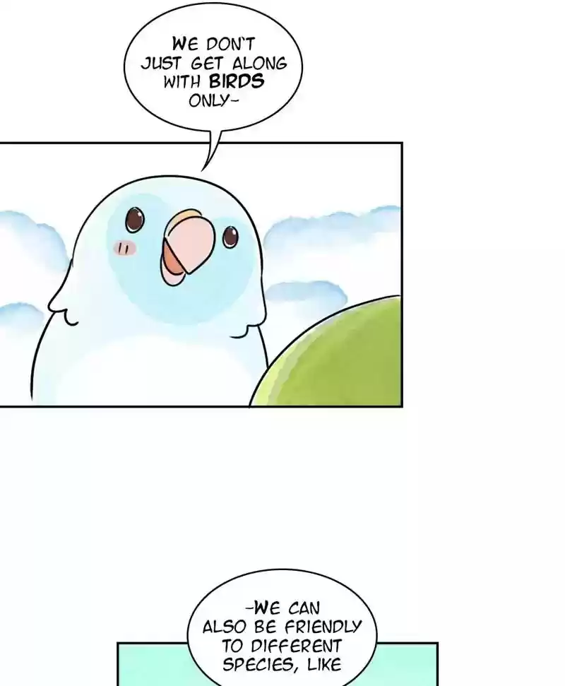 A Budgie's Life Chapter 173: Ep.172: