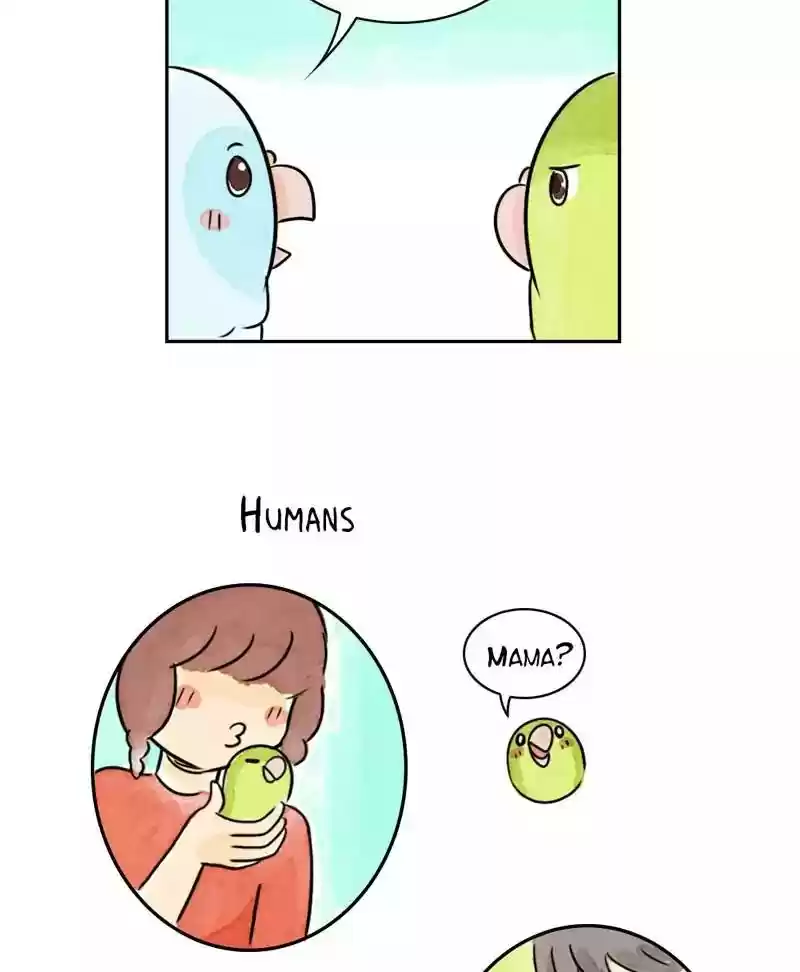 A Budgie's Life Chapter 173: Ep.172: