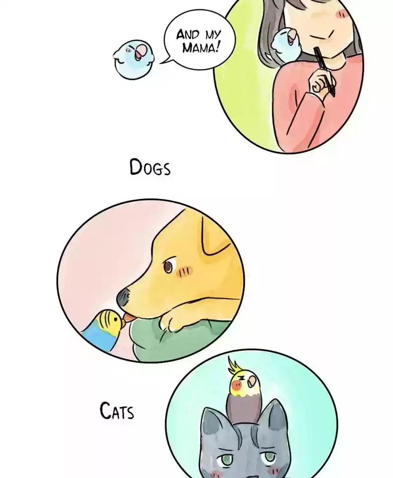 A Budgie's Life Chapter 173: Ep.172: