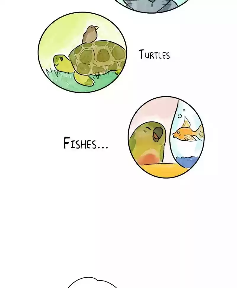 A Budgie's Life Chapter 173: Ep.172: