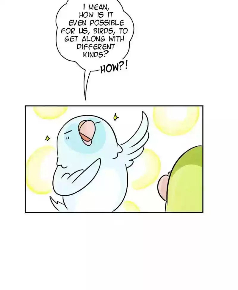 A Budgie's Life Chapter 173: Ep.172: