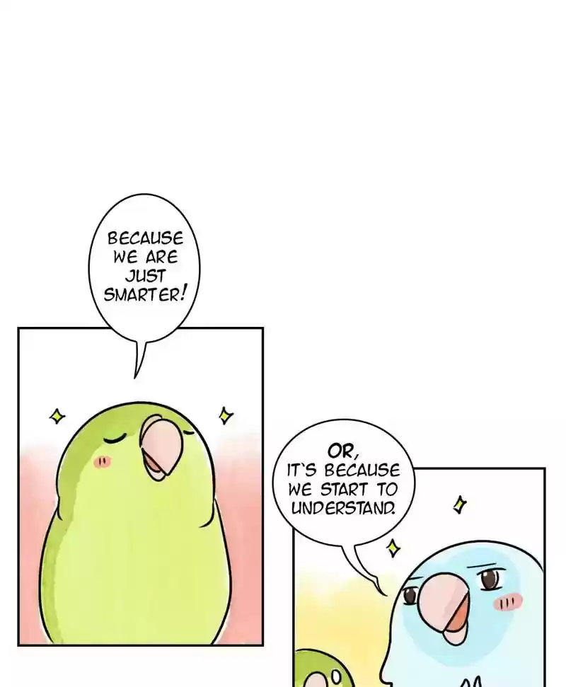 A Budgie's Life Chapter 173: Ep.172: