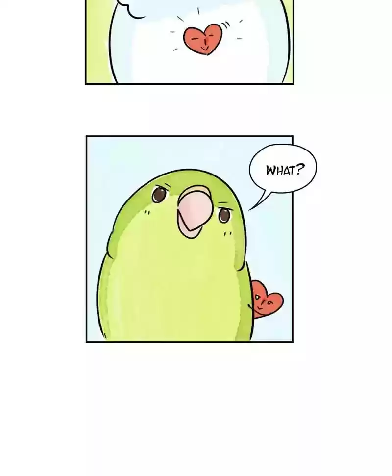 A Budgie's Life Chapter 173: Ep.172: