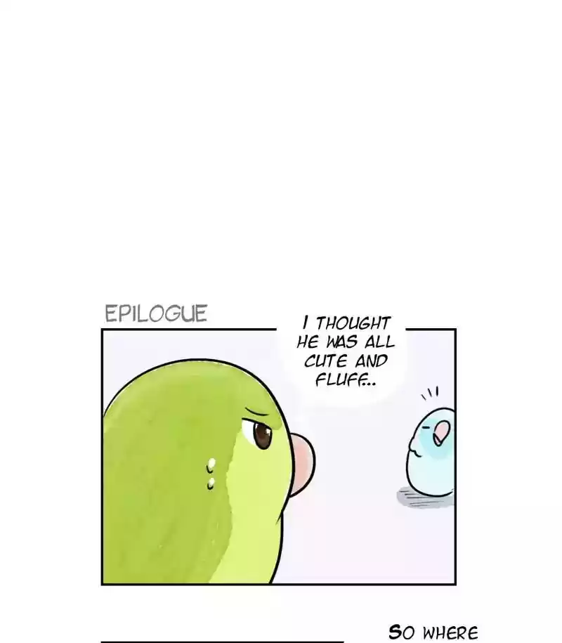 A Budgie's Life Chapter 173: Ep.172: