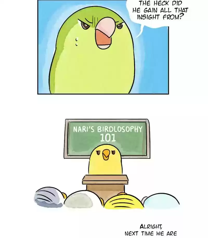 A Budgie's Life Chapter 173: Ep.172: