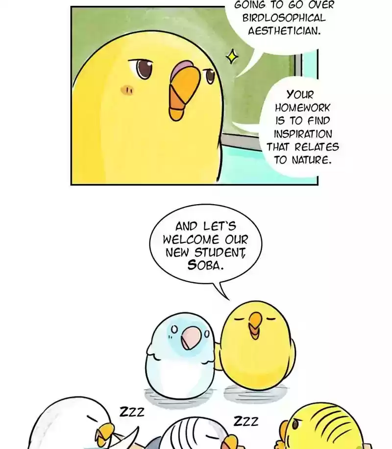 A Budgie's Life Chapter 173: Ep.172: