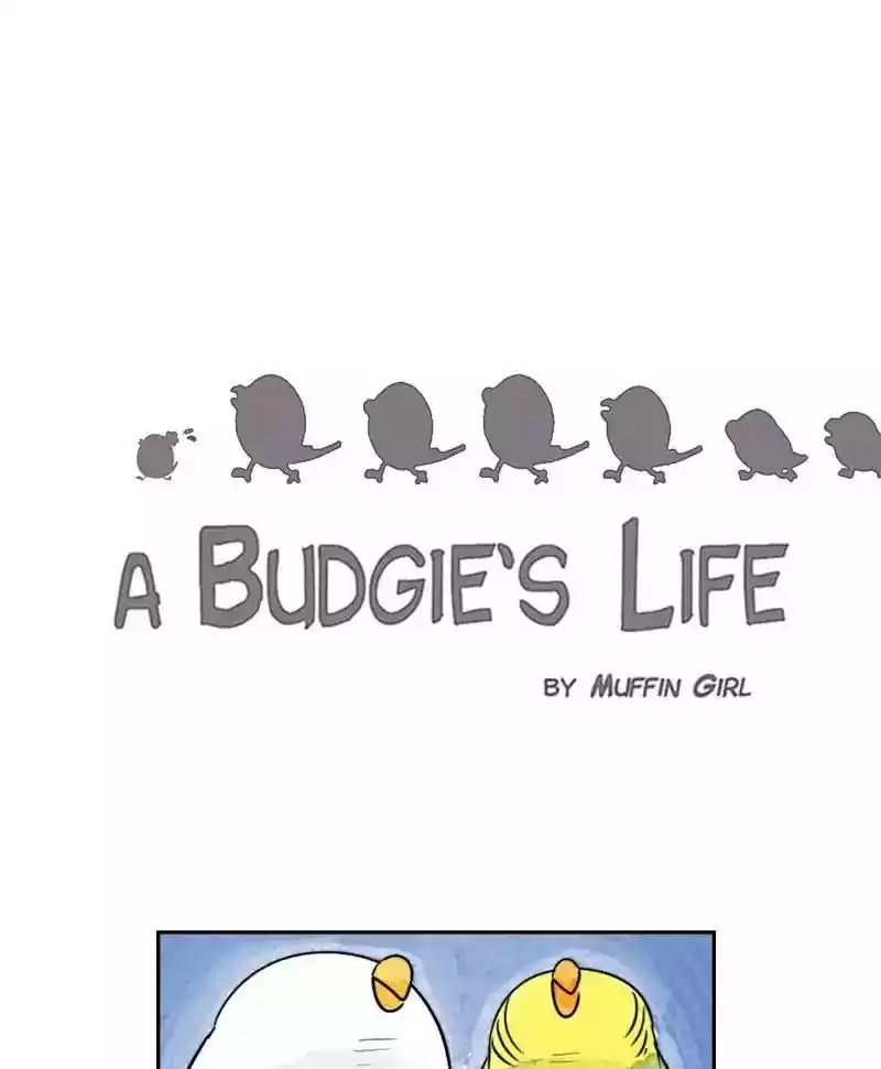 A Budgie's Life Chapter 174: Ep.173: