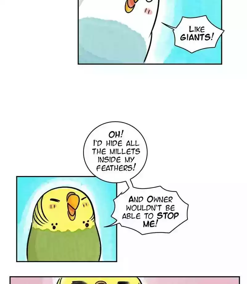 A Budgie's Life Chapter 174: Ep.173: