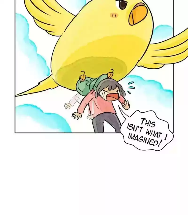 A Budgie's Life Chapter 174: Ep.173: