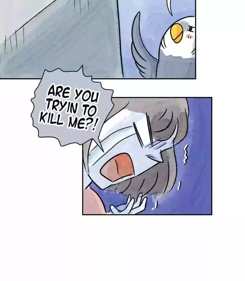 A Budgie's Life Chapter 174: Ep.173: