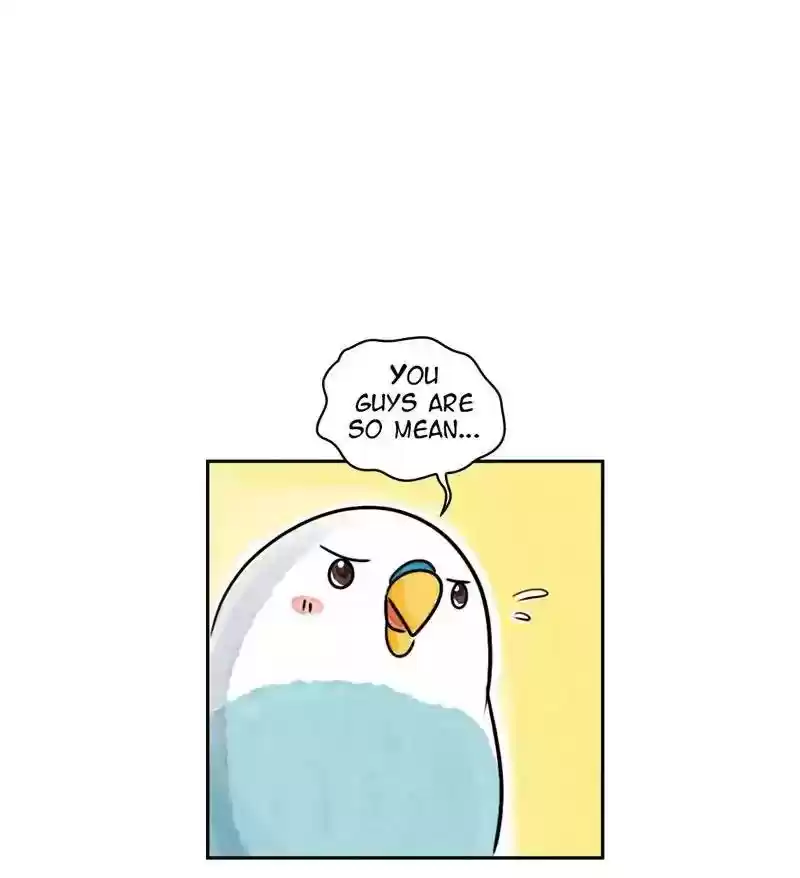 A Budgie's Life Chapter 174: Ep.173: