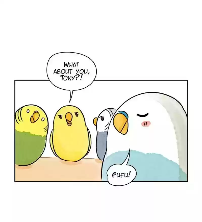 A Budgie's Life Chapter 174: Ep.173: