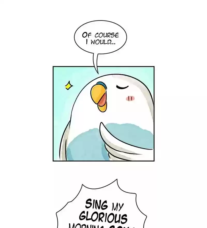 A Budgie's Life Chapter 174: Ep.173: