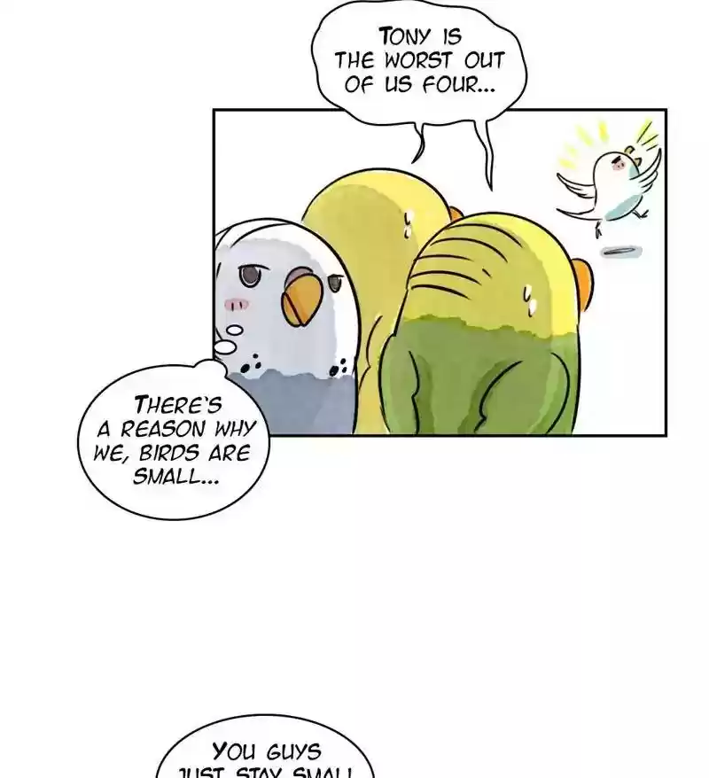 A Budgie's Life Chapter 174: Ep.173:
