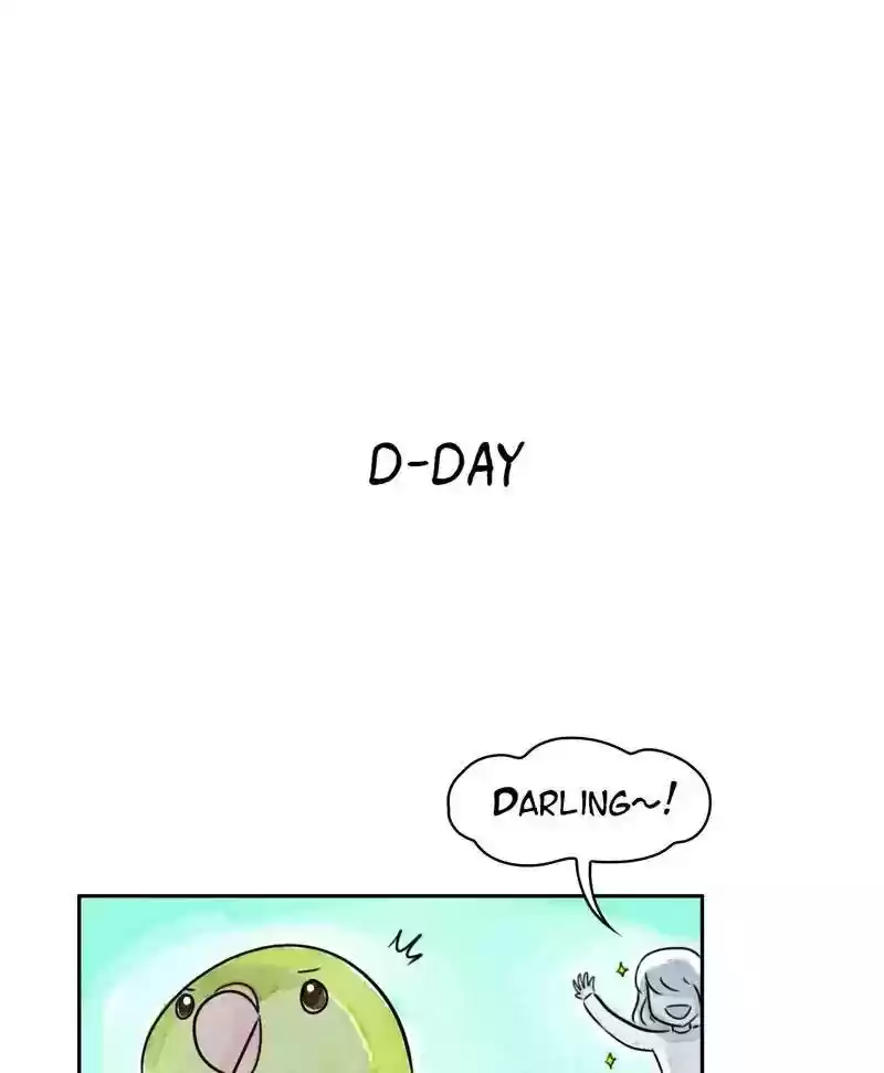 A Budgie's Life Chapter 175: Ep.174: