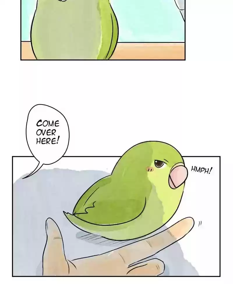 A Budgie's Life Chapter 175: Ep.174: