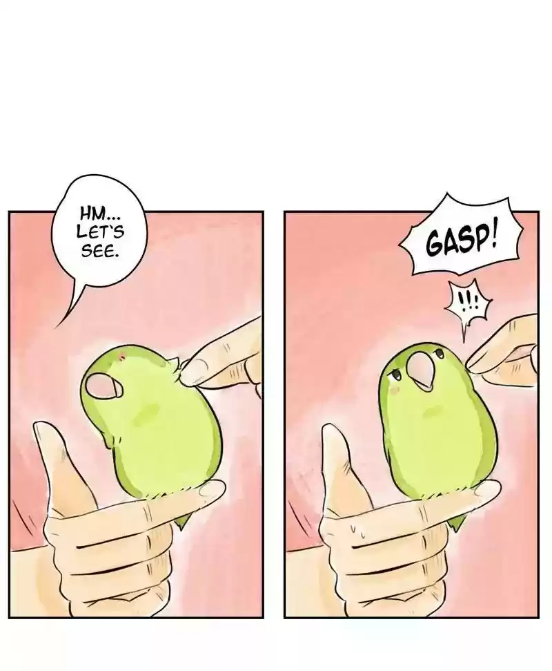 A Budgie's Life Chapter 175: Ep.174: