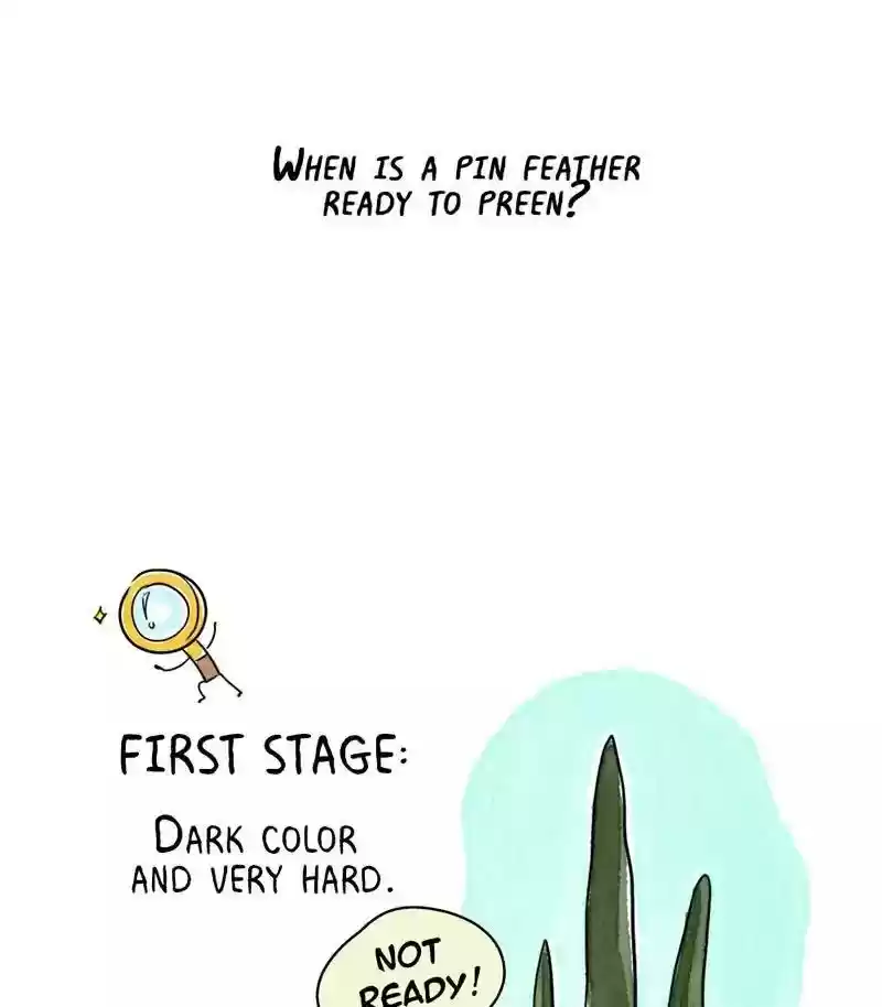 A Budgie's Life Chapter 175: Ep.174: