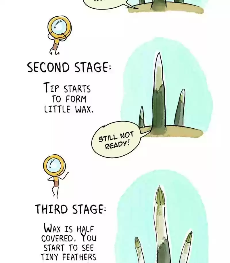 A Budgie's Life Chapter 175: Ep.174: