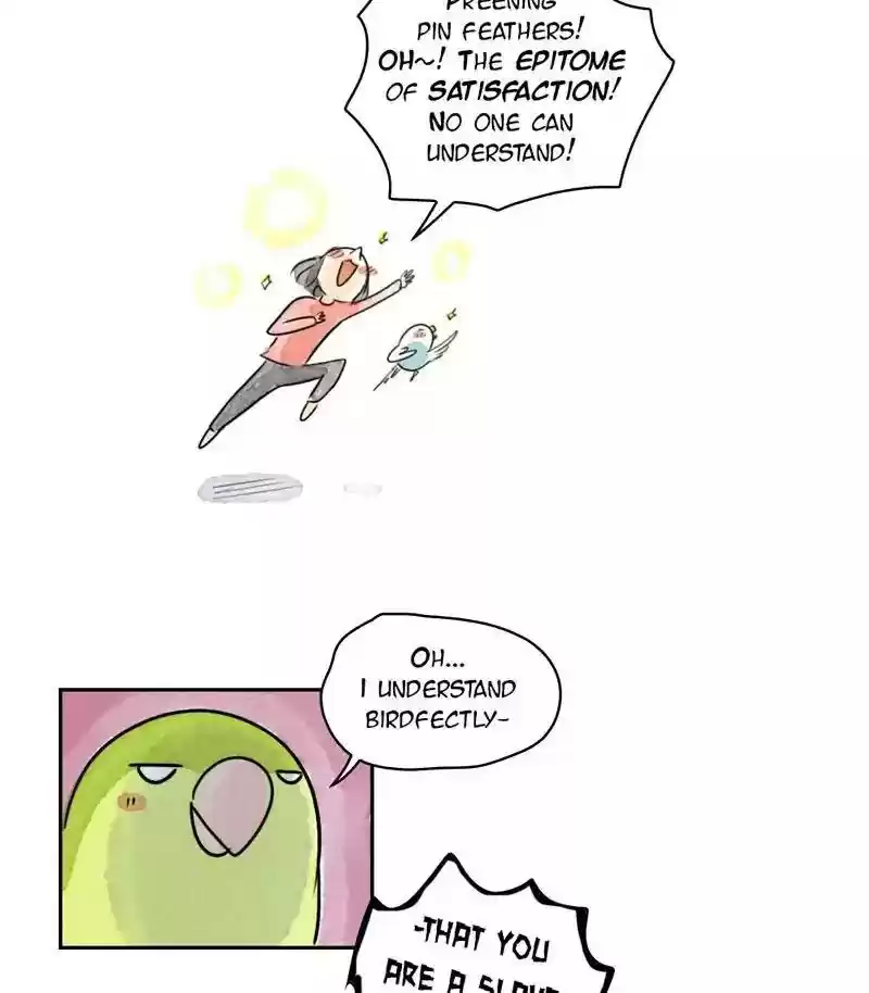 A Budgie's Life Chapter 175: Ep.174: