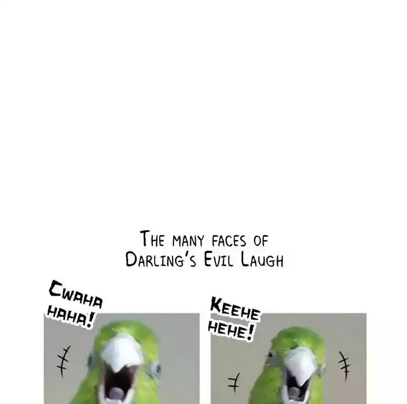 A Budgie's Life Chapter 175: Ep.174: