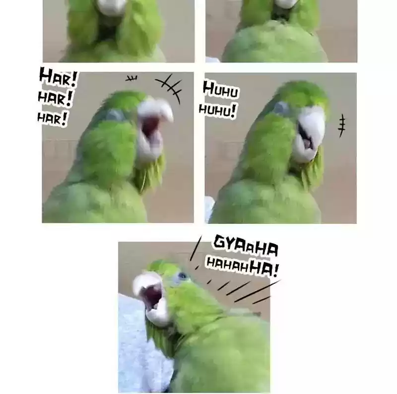 A Budgie's Life Chapter 175: Ep.174: